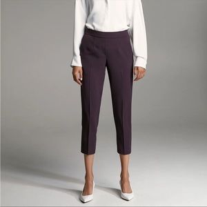Aritzia Babaton Conan Pant